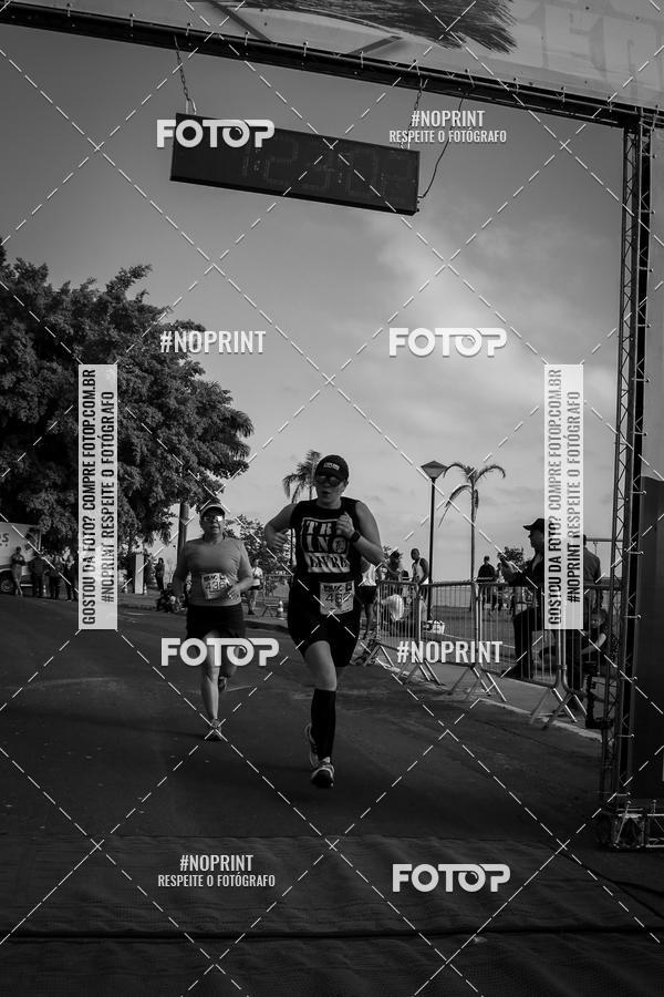 Buy your photos of the eventWolf Series - Botucatu on Fotop