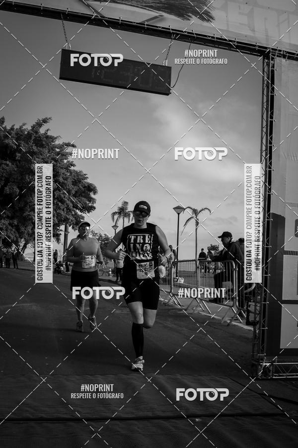 Buy your photos of the eventWolf Series - Botucatu on Fotop