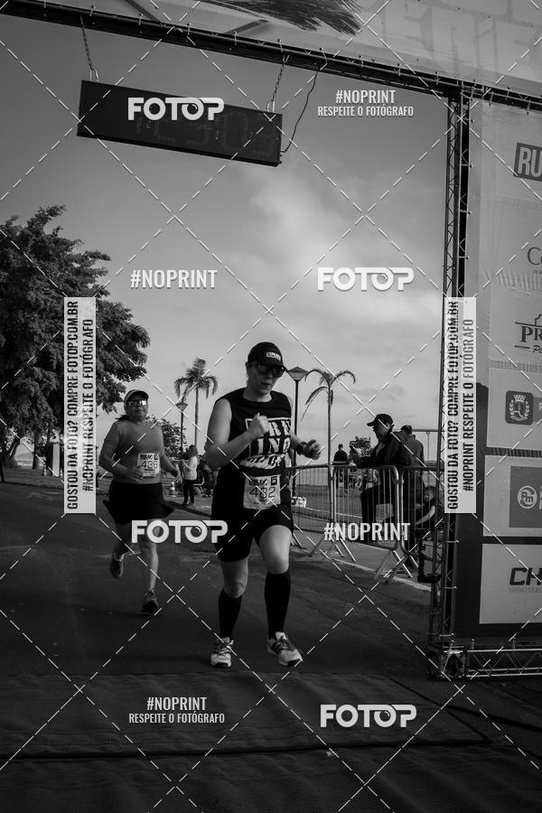 Buy your photos of the eventWolf Series - Botucatu on Fotop