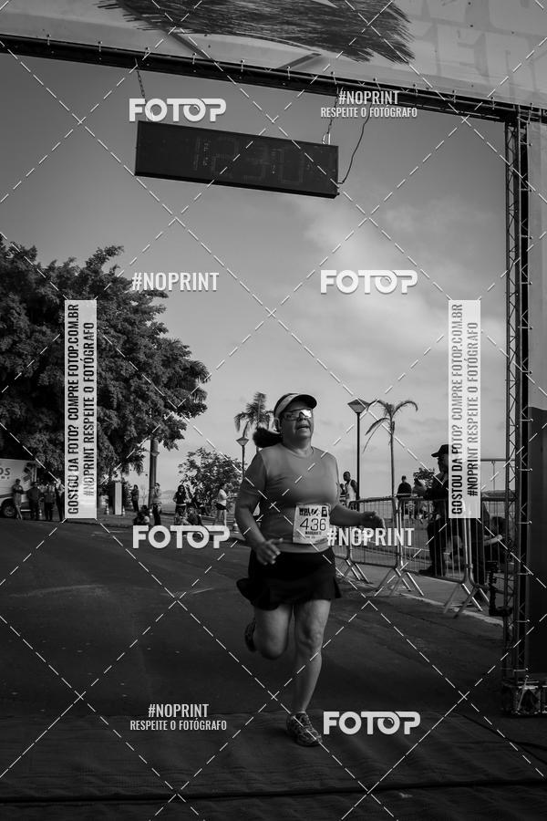 Buy your photos of the eventWolf Series - Botucatu on Fotop