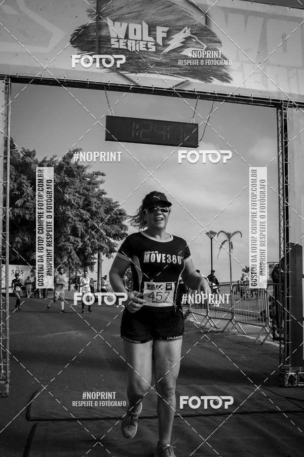 Buy your photos of the eventWolf Series - Botucatu on Fotop