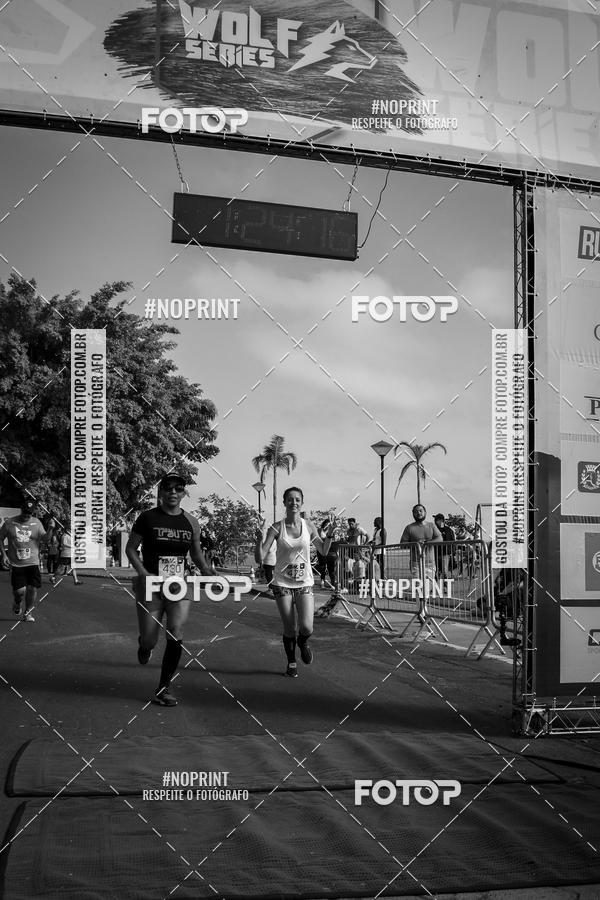 Buy your photos of the eventWolf Series - Botucatu on Fotop