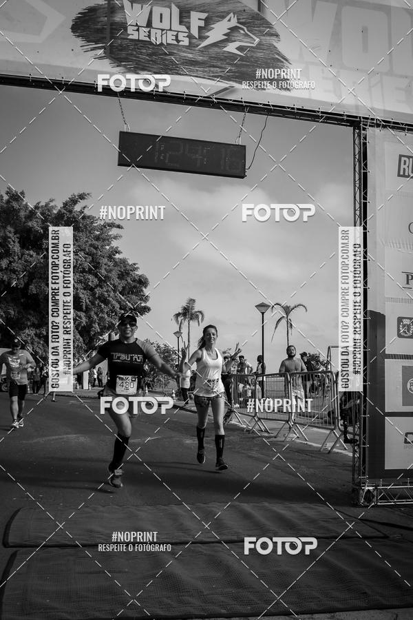 Buy your photos of the eventWolf Series - Botucatu on Fotop