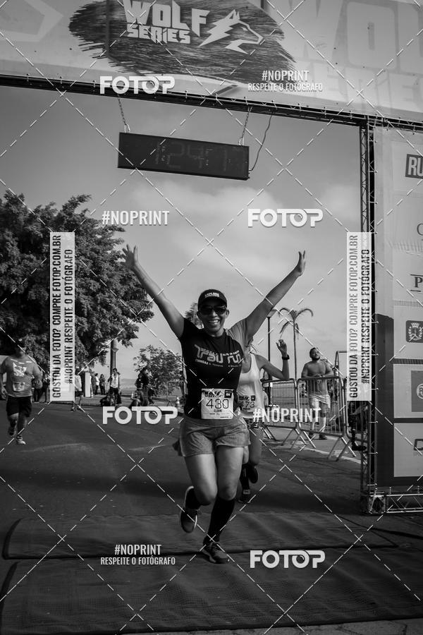 Buy your photos of the eventWolf Series - Botucatu on Fotop