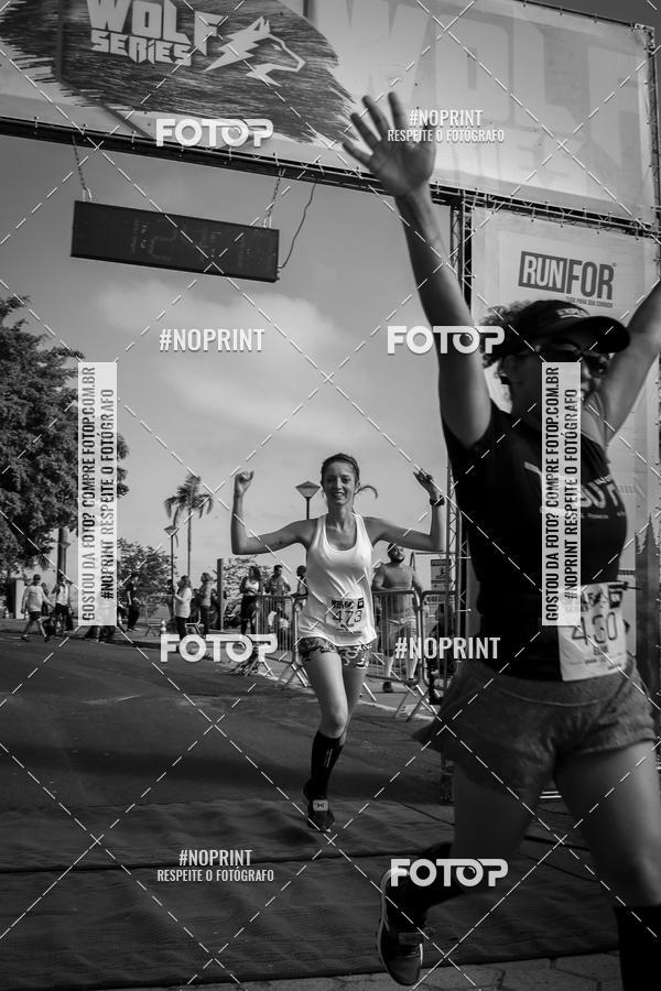 Buy your photos of the eventWolf Series - Botucatu on Fotop