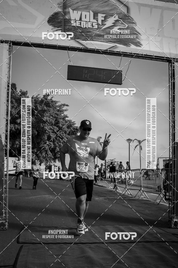 Buy your photos of the eventWolf Series - Botucatu on Fotop