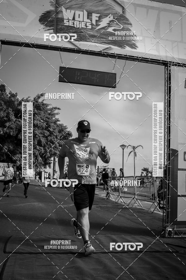 Buy your photos of the eventWolf Series - Botucatu on Fotop