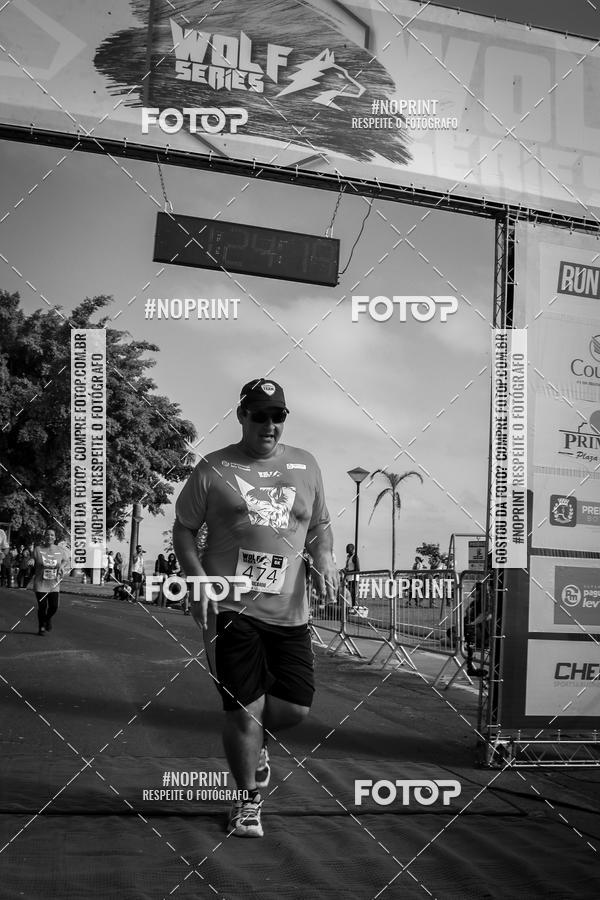 Buy your photos of the eventWolf Series - Botucatu on Fotop