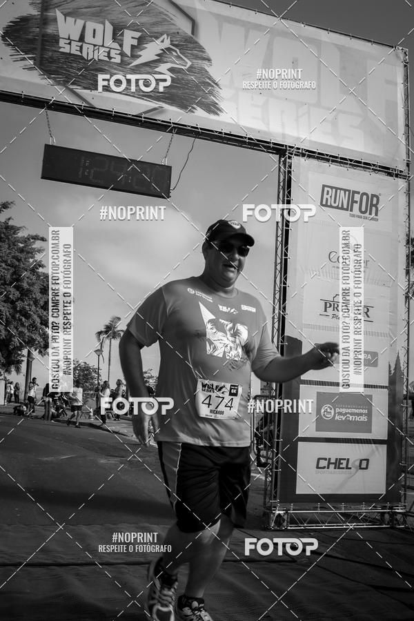 Buy your photos of the eventWolf Series - Botucatu on Fotop