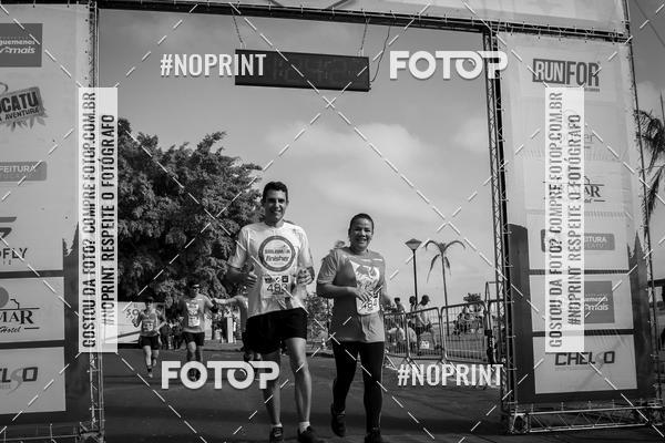 Buy your photos of the eventWolf Series - Botucatu on Fotop