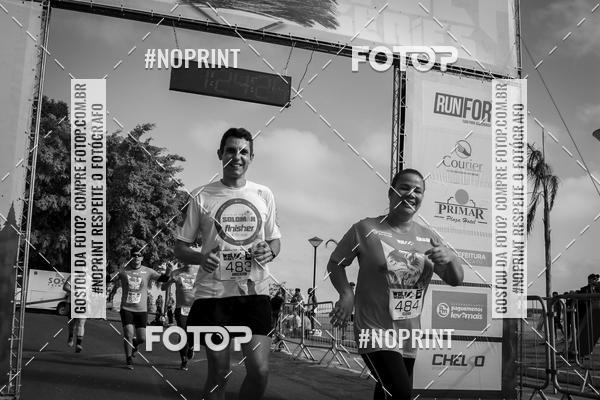 Buy your photos of the eventWolf Series - Botucatu on Fotop