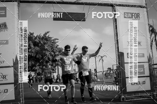 Buy your photos of the eventWolf Series - Botucatu on Fotop