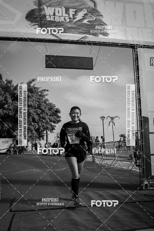 Buy your photos of the eventWolf Series - Botucatu on Fotop