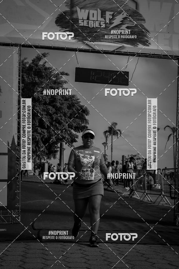 Buy your photos of the eventWolf Series - Botucatu on Fotop