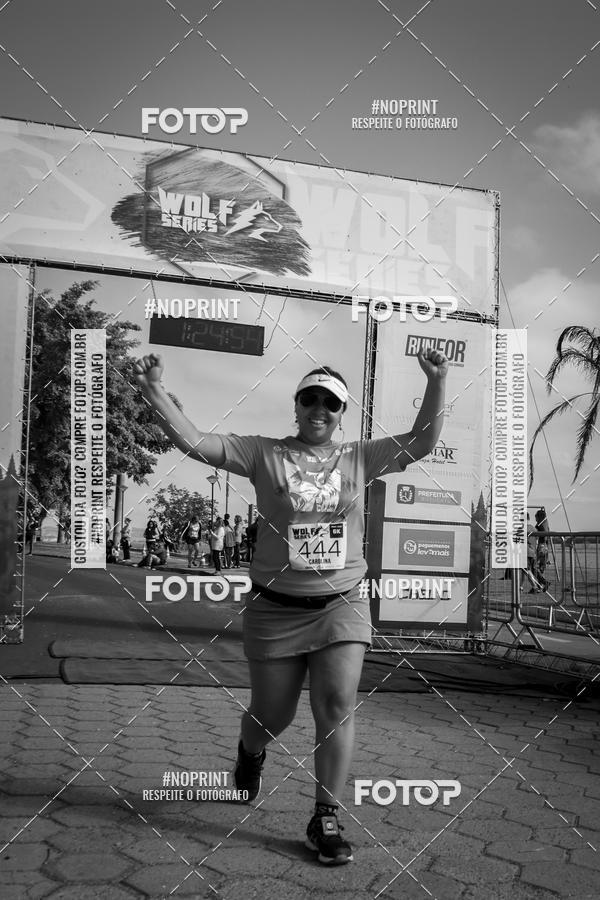 Buy your photos of the eventWolf Series - Botucatu on Fotop