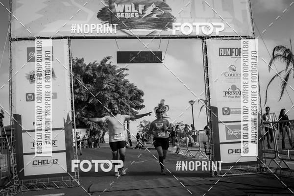 Buy your photos of the eventWolf Series - Botucatu on Fotop