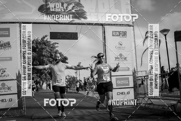 Buy your photos of the eventWolf Series - Botucatu on Fotop