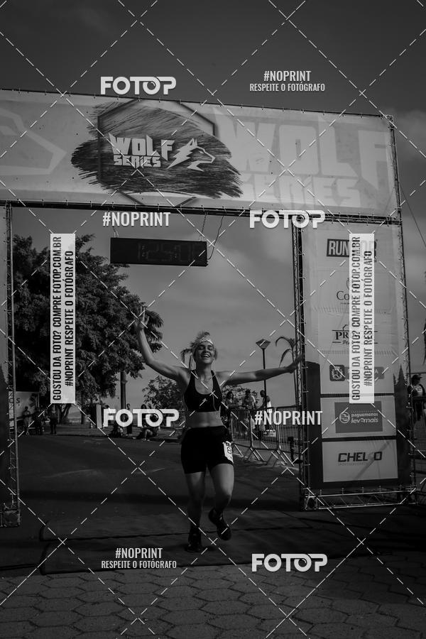 Buy your photos of the eventWolf Series - Botucatu on Fotop