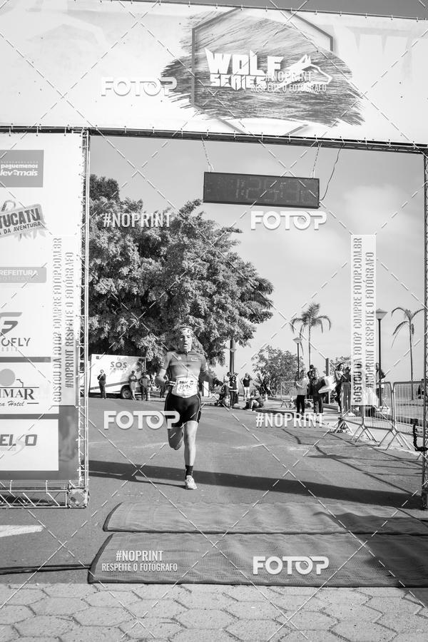 Buy your photos of the eventWolf Series - Botucatu on Fotop