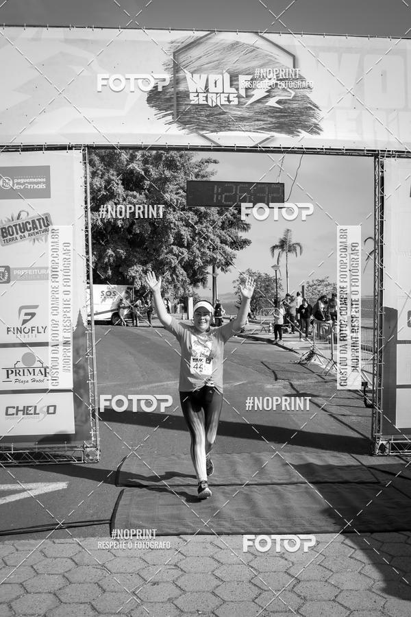 Buy your photos of the eventWolf Series - Botucatu on Fotop