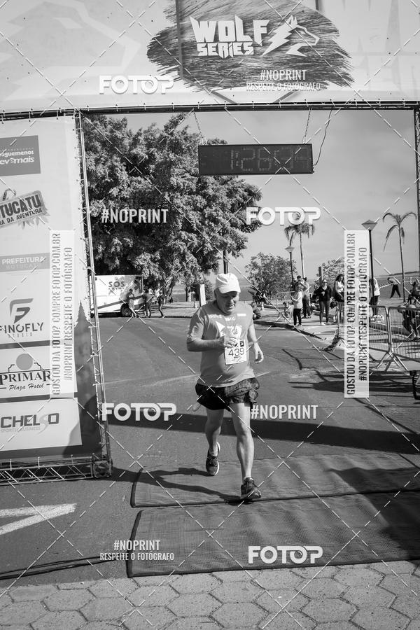 Buy your photos of the eventWolf Series - Botucatu on Fotop