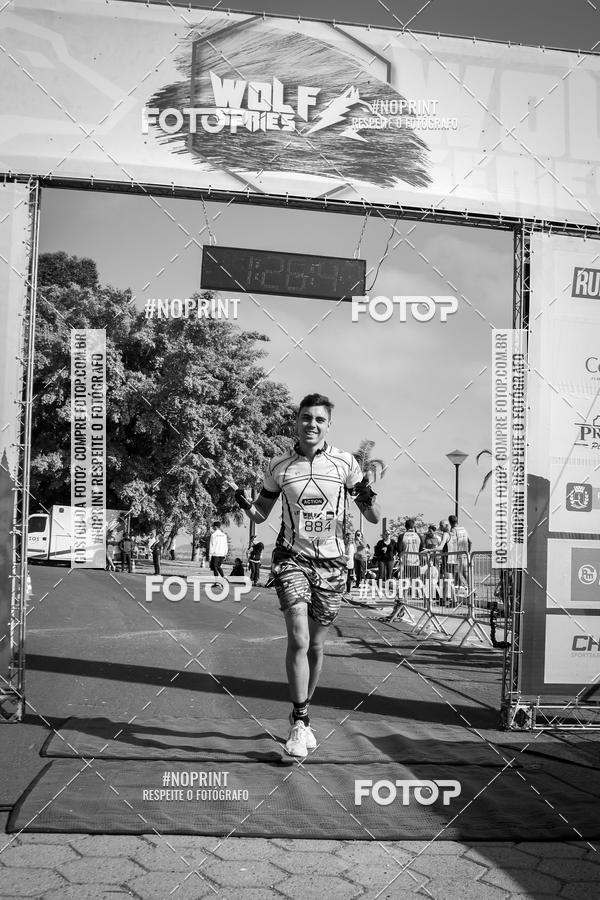 Buy your photos of the eventWolf Series - Botucatu on Fotop