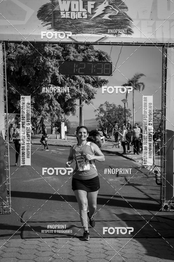 Buy your photos of the eventWolf Series - Botucatu on Fotop