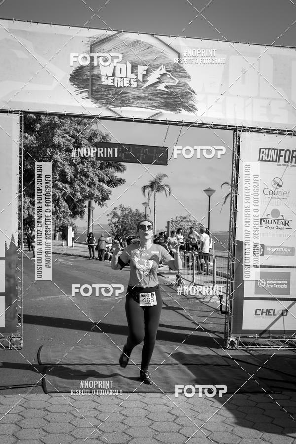 Buy your photos of the eventWolf Series - Botucatu on Fotop