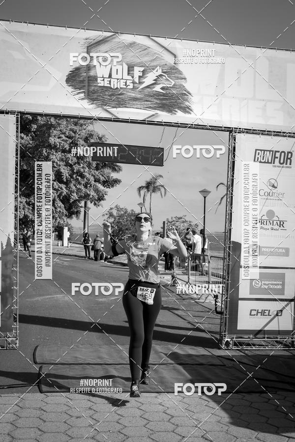 Buy your photos of the eventWolf Series - Botucatu on Fotop