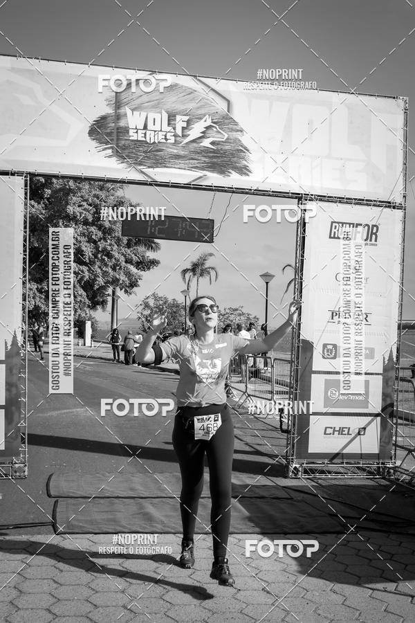 Buy your photos of the eventWolf Series - Botucatu on Fotop