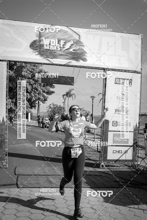 Buy your photos of the eventWolf Series - Botucatu on Fotop