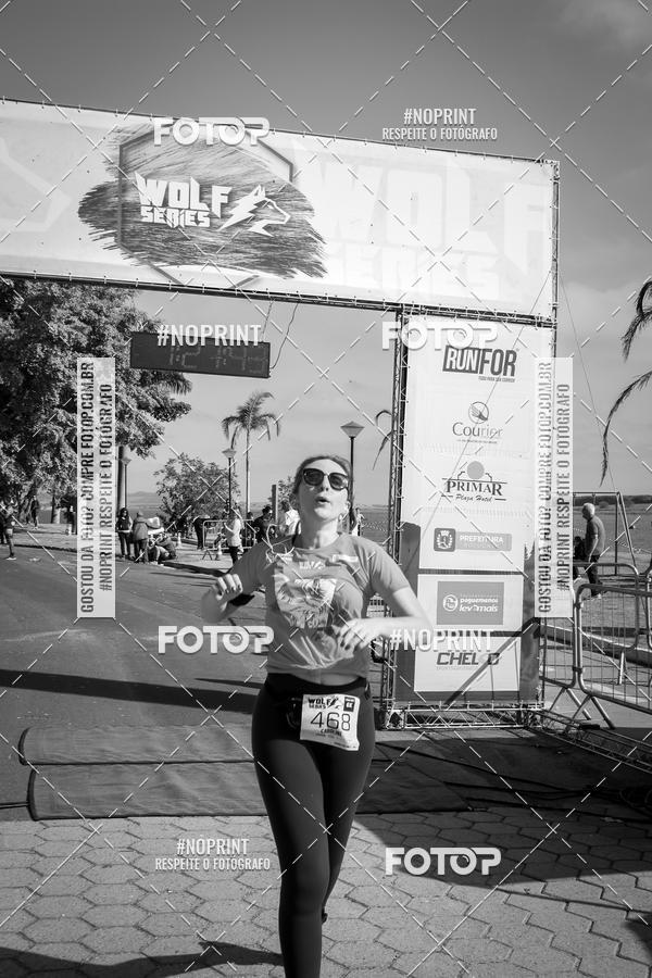 Buy your photos of the eventWolf Series - Botucatu on Fotop