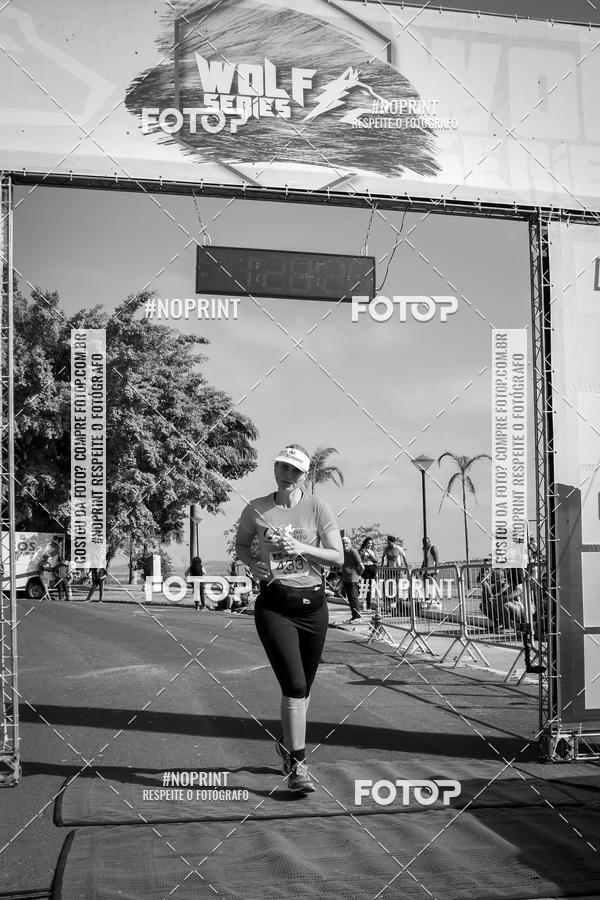 Buy your photos of the eventWolf Series - Botucatu on Fotop