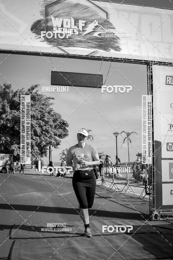 Buy your photos of the eventWolf Series - Botucatu on Fotop