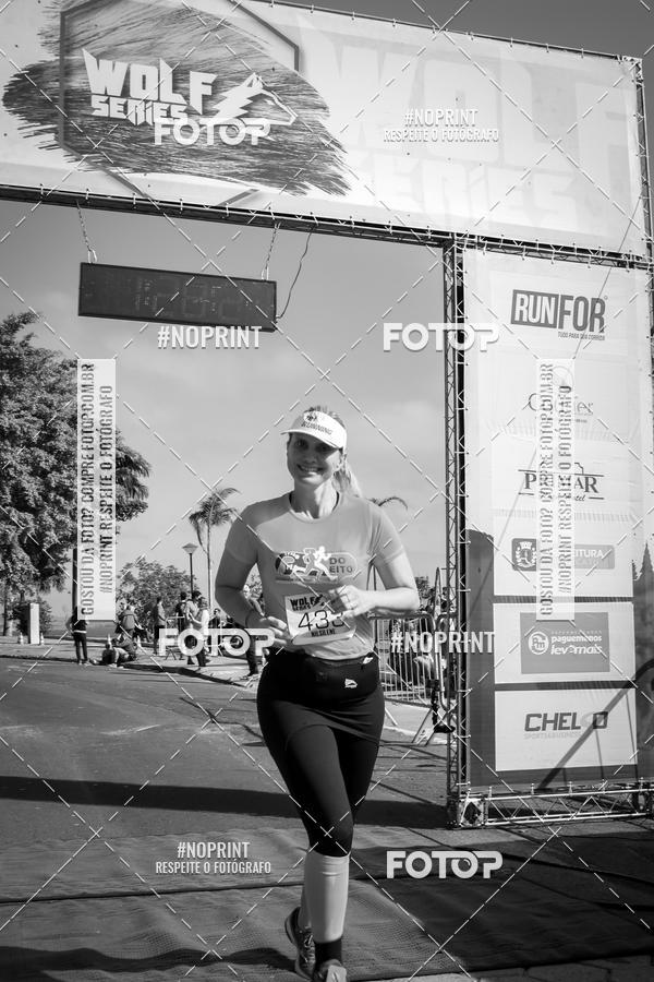 Buy your photos of the eventWolf Series - Botucatu on Fotop