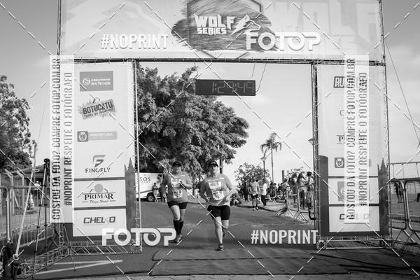 Buy your photos of the eventWolf Series - Botucatu on Fotop