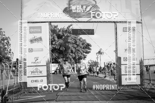 Buy your photos of the eventWolf Series - Botucatu on Fotop