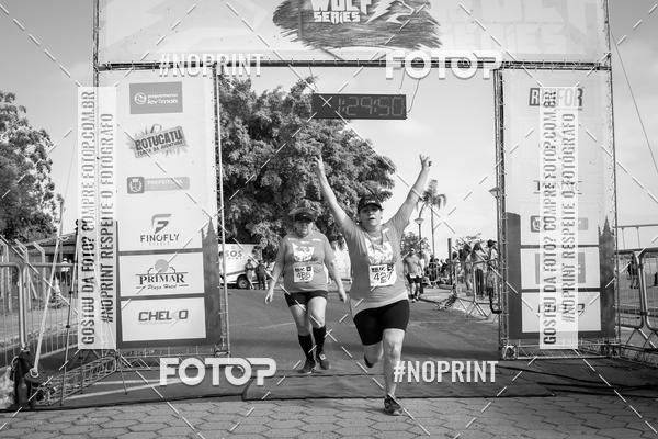 Buy your photos of the eventWolf Series - Botucatu on Fotop