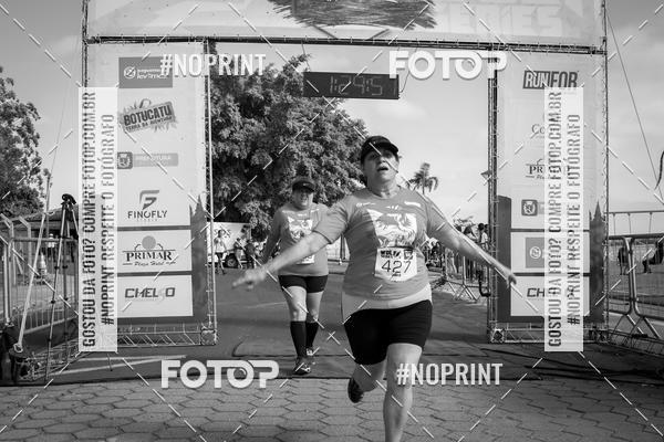 Buy your photos of the eventWolf Series - Botucatu on Fotop