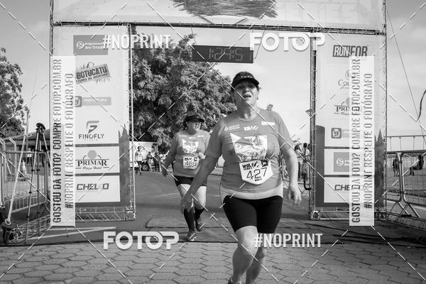 Buy your photos of the eventWolf Series - Botucatu on Fotop