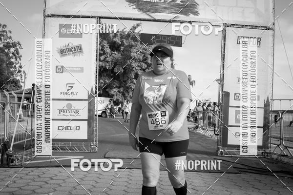 Buy your photos of the eventWolf Series - Botucatu on Fotop