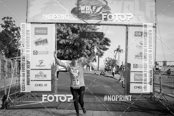 Buy your photos of the eventWolf Series - Botucatu on Fotop