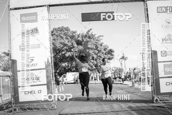 Buy your photos of the eventWolf Series - Botucatu on Fotop