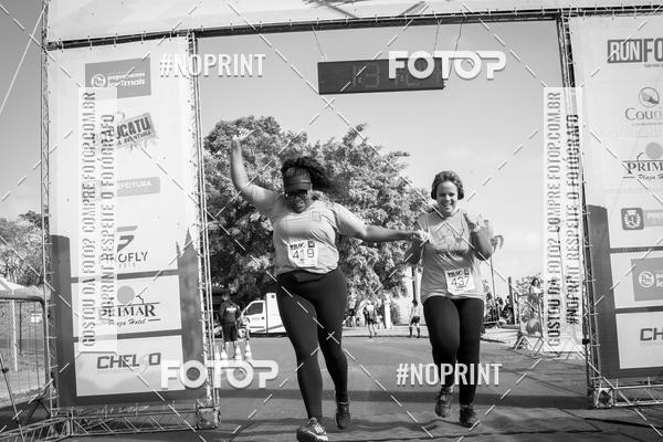 Buy your photos of the eventWolf Series - Botucatu on Fotop