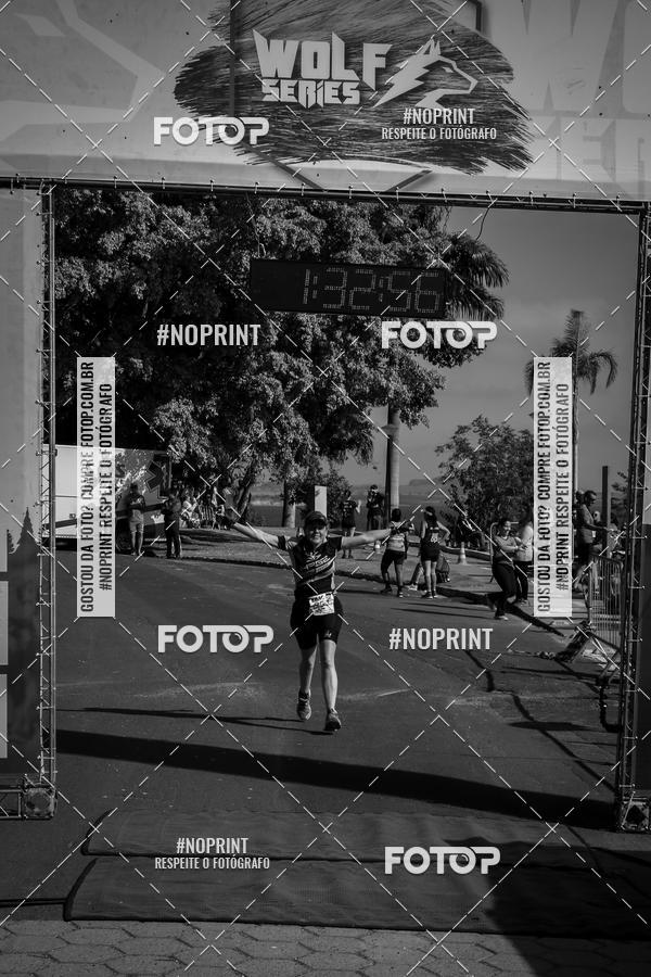 Buy your photos of the eventWolf Series - Botucatu on Fotop