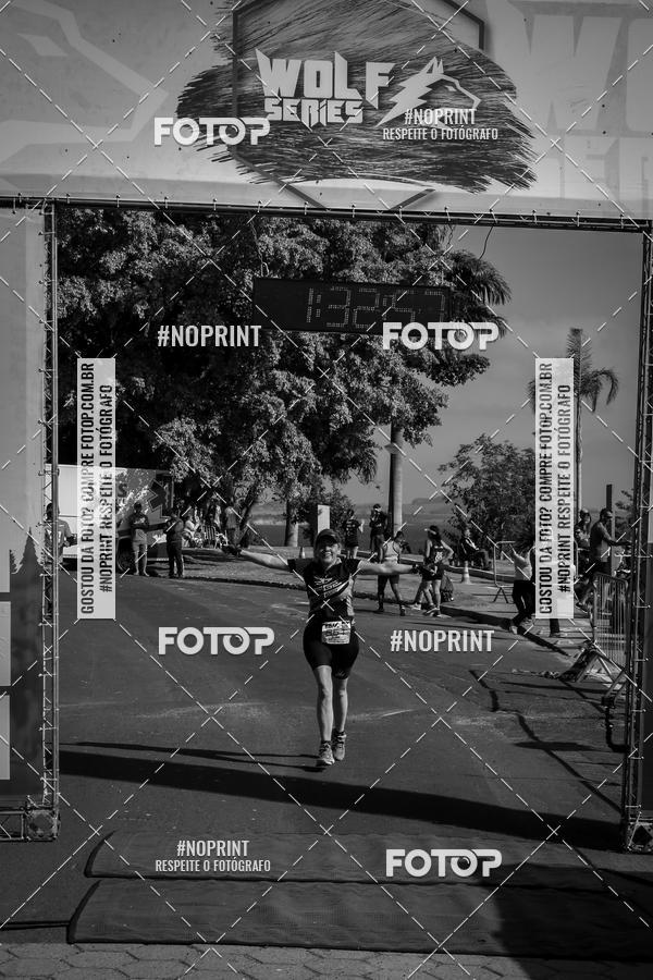 Buy your photos of the eventWolf Series - Botucatu on Fotop