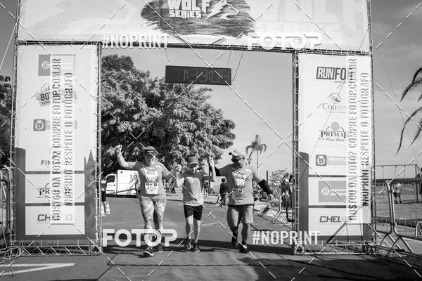 Buy your photos of the eventWolf Series - Botucatu on Fotop