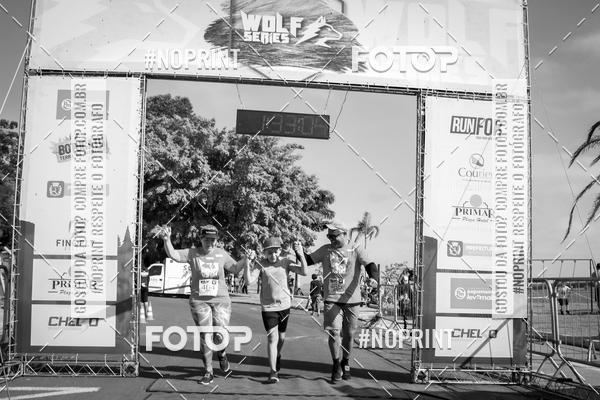 Buy your photos of the eventWolf Series - Botucatu on Fotop