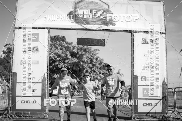 Buy your photos of the eventWolf Series - Botucatu on Fotop