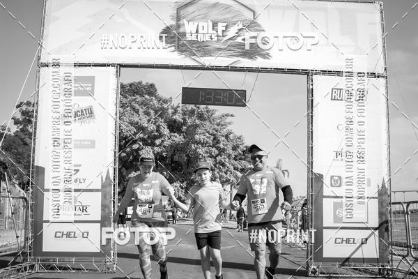 Buy your photos of the eventWolf Series - Botucatu on Fotop